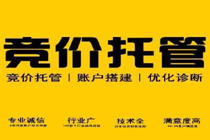 信息流竞价策略解析：成功案例分析